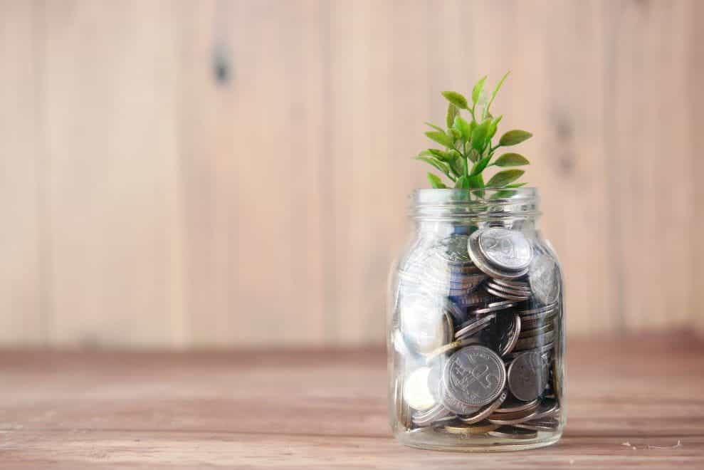 A jar of coins on a desk with a small sprig of green plant growing out of the top of it.